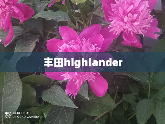丰田highlander