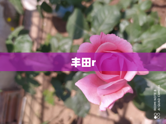 丰田r