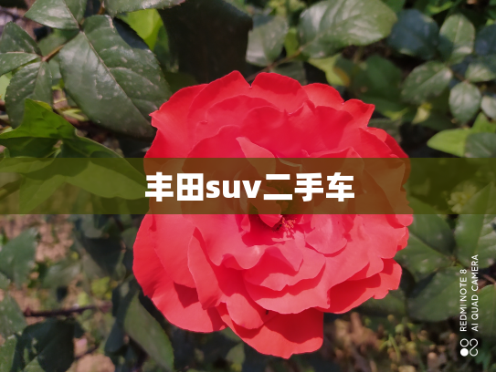 丰田suv二手车
