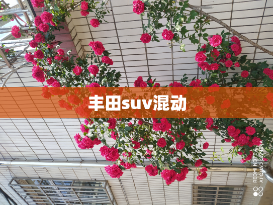 丰田suv混动