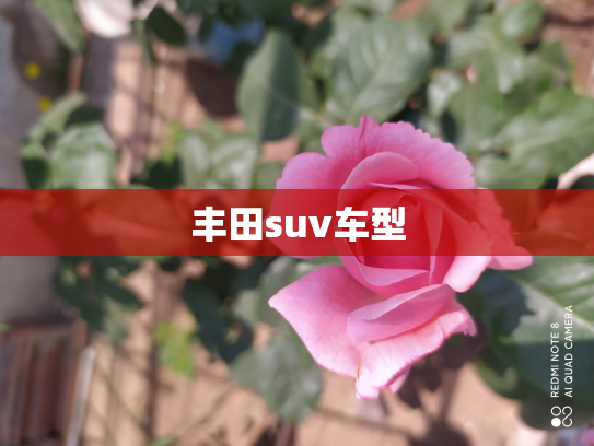丰田suv车型