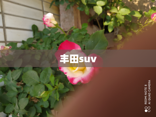 丰田suv