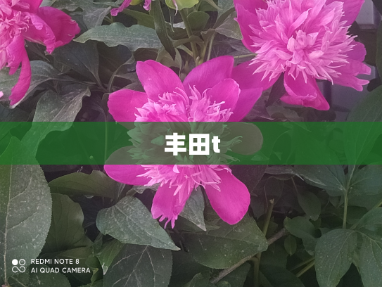 丰田t