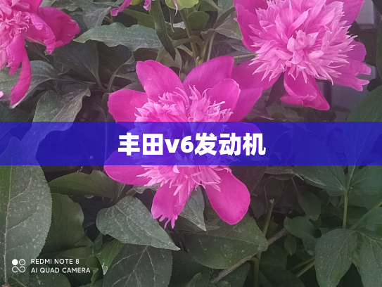 丰田v6发动机