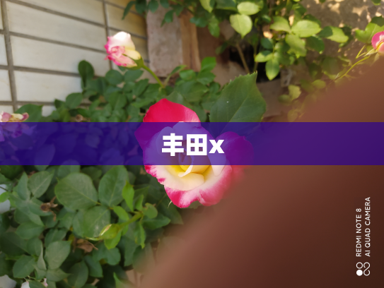 丰田x