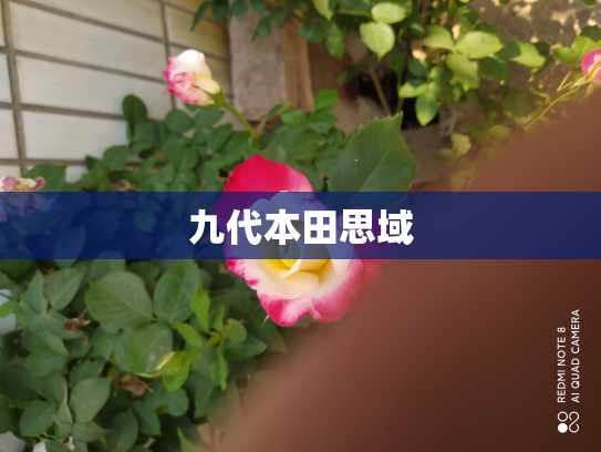 九代本田思域