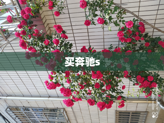 买奔驰s