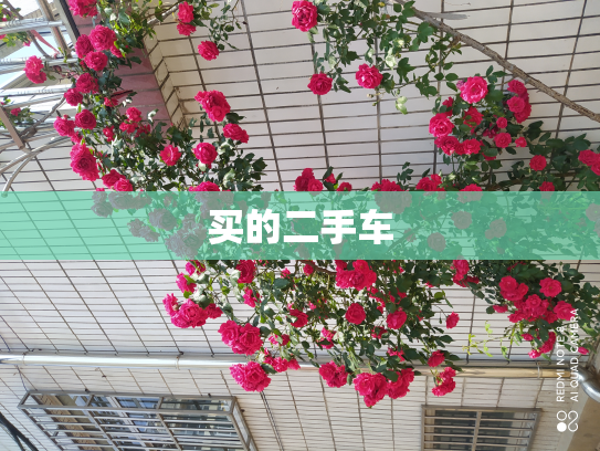 买的二手车