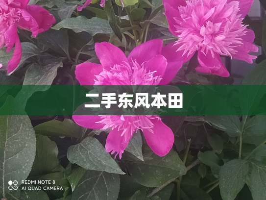 二手东风本田