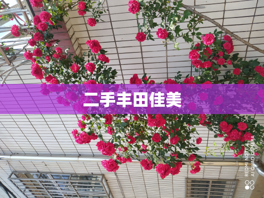 二手丰田佳美
