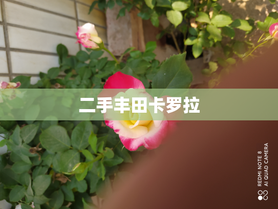 二手丰田卡罗拉