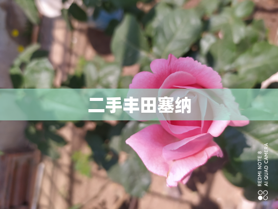 二手丰田塞纳