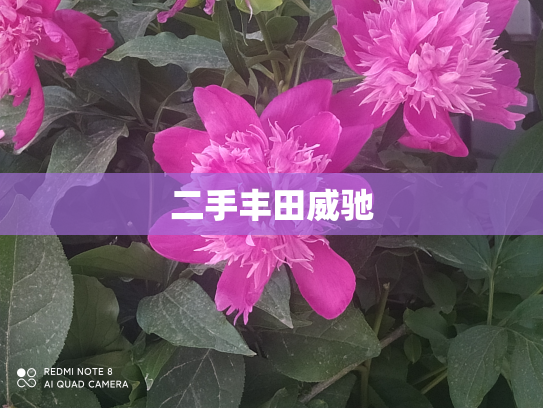 二手丰田威驰