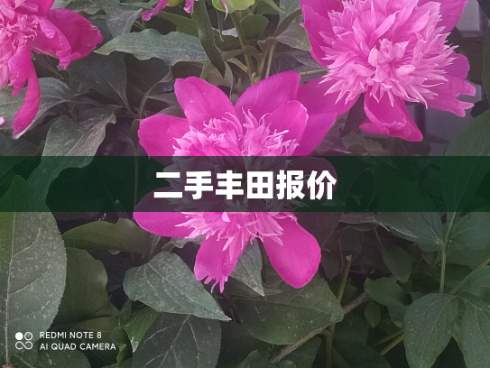 二手丰田报价
