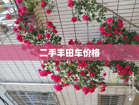 二手丰田车价格