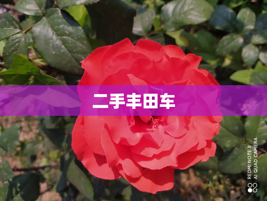 二手丰田车