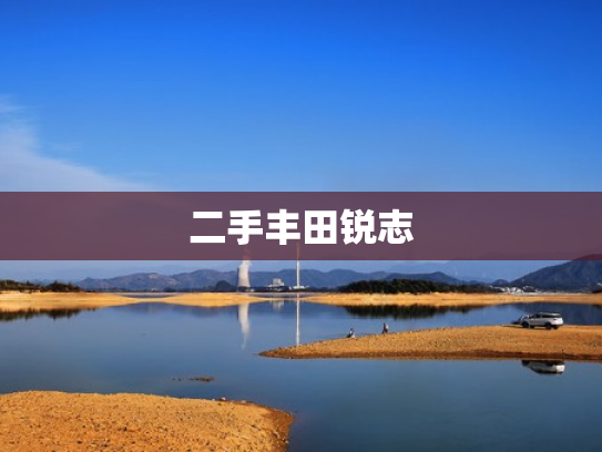 二手丰田锐志