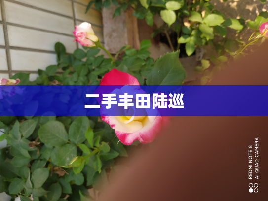 二手丰田陆巡