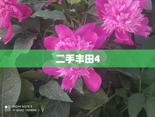 二手丰田4