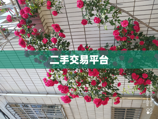 二手交易平台