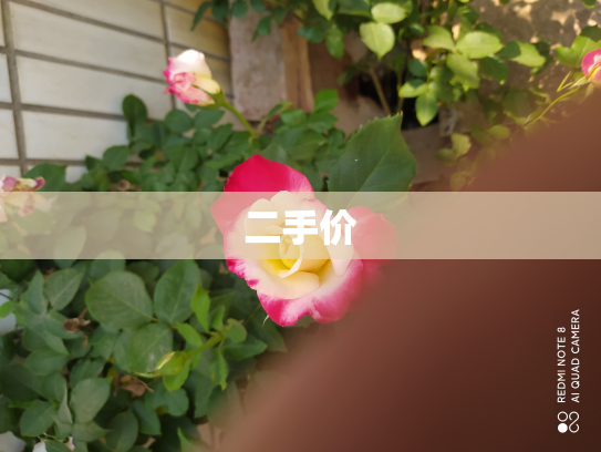 二手价