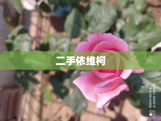 二手依维柯