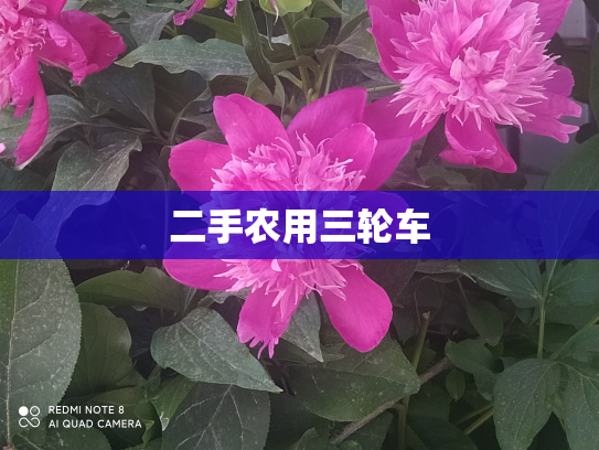 二手农用三轮车