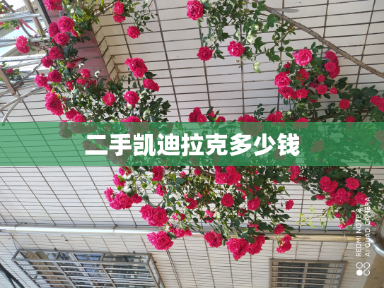 二手凯迪拉克多少钱