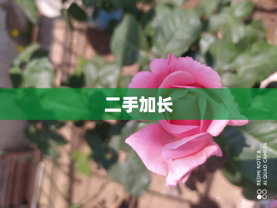 二手加长