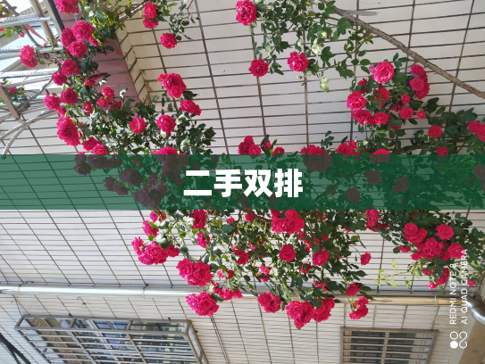 二手双排
