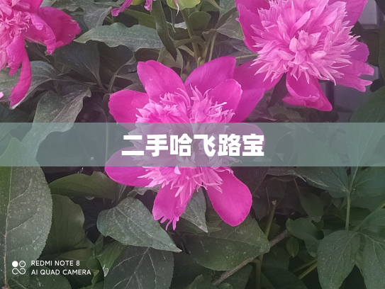 二手哈飞路宝