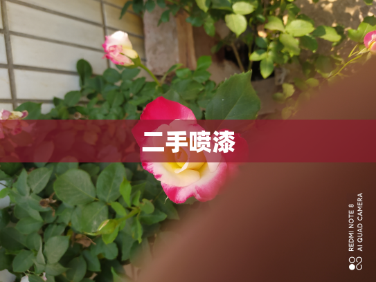 二手喷漆