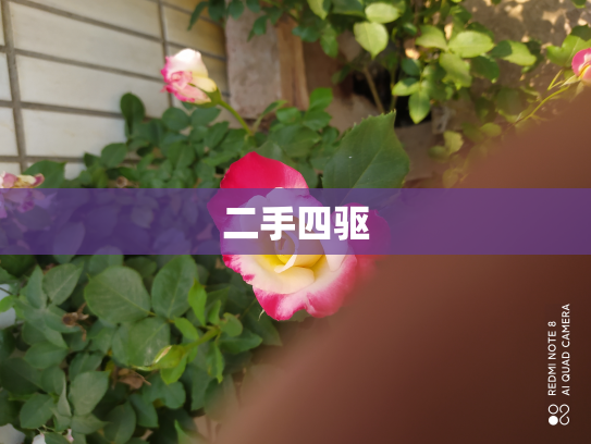 二手四驱
