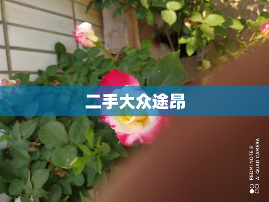 二手大众途昂