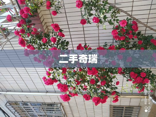 二手奇瑞