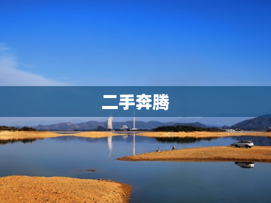 二手奔腾