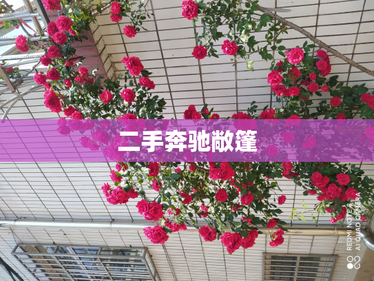 二手奔驰敞篷