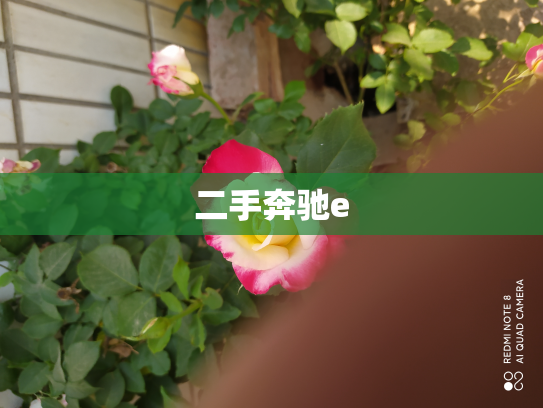 二手奔驰e