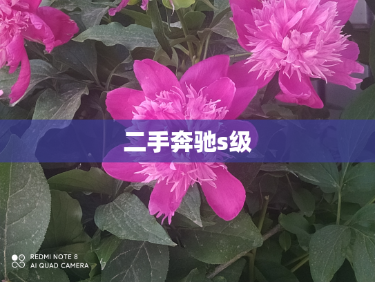 二手奔驰s级