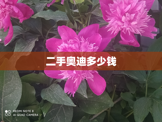 二手奥迪多少钱