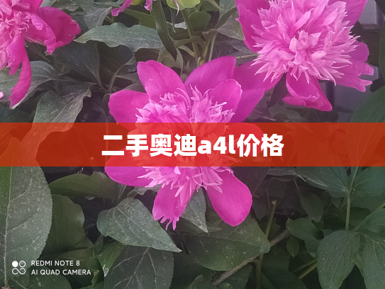 二手奥迪a4l价格