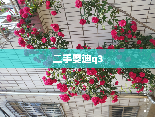 二手奥迪q3