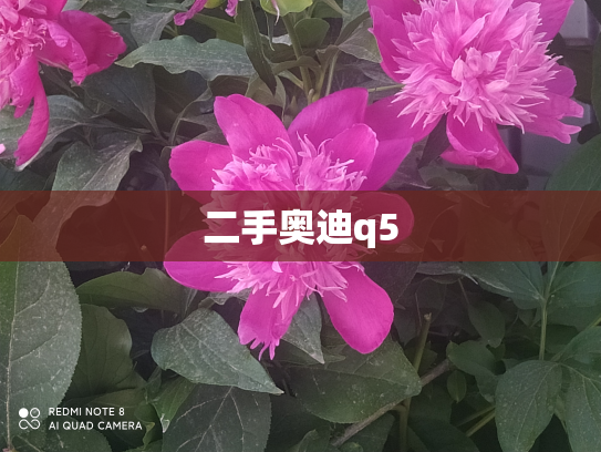 二手奥迪q5