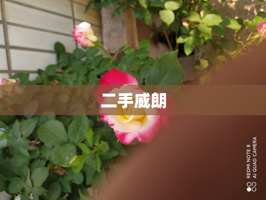 二手威朗