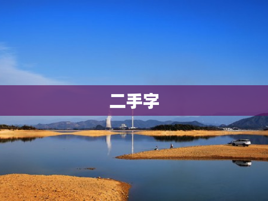 二手字