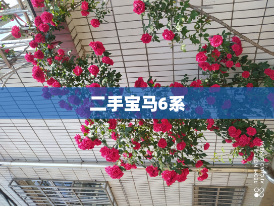 二手宝马6系