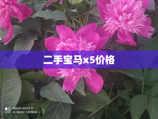 二手宝马x5价格