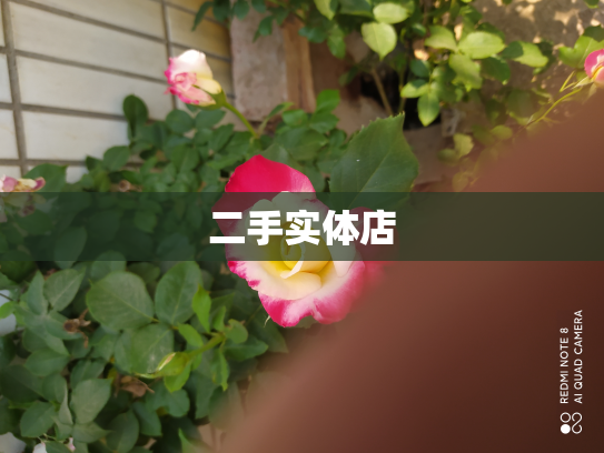 二手实体店