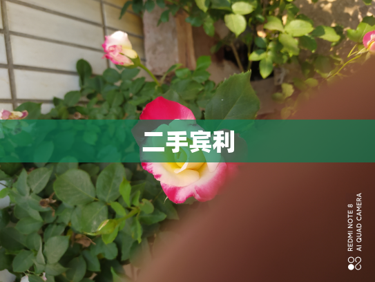 二手宾利