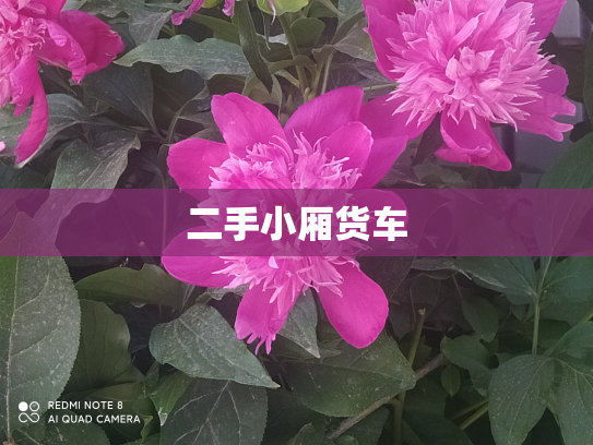 二手小厢货车
